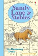 Runaway Pony (Sandy Lane Stables) 0746024827 Book Cover