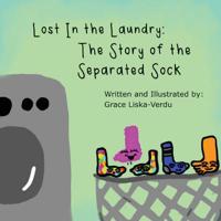 Lost in the Laundry : The Story of the Separated Sock 1645380564 Book Cover