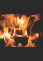 golden NOTEBOOK #51 1697325327 Book Cover