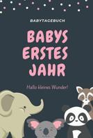 Babytagebuch Babys Erstes Jahr Hallo Kleines Wunder: A5 Tagebuch mit sch�nen Spr�chen als Geschenk zur Geburt f�r M�dchen- Geschenkidee f�r werdene M�tter zur Schwangerschaft - Baby-Tagebuch - Babyalb 1080515216 Book Cover