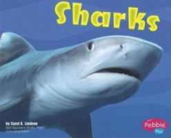 Sharks (Under the Sea (Capstone Library)) 0736851143 Book Cover