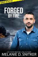 Forged by Fire: Christian Romantic Suspense (Danger in Destiny) 196419606X Book Cover
