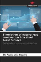 Simulation of natural gas combustion in a steel blast furnace 6209009891 Book Cover