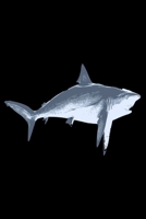 Shark Journal: high quality book spine thematic motif white paper, dotgrid 120 pages for your ideas Approx. DIN A5 (6 x9 inch) large 165496090X Book Cover