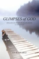 Glimpses of God Seeing God in the Ordinary and the Extra-Ordinary 0990786242 Book Cover