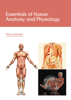 Essentials of Human Anatomy and Physiology B0FH652JCF Book Cover
