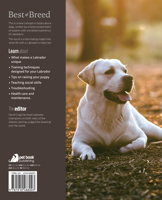 The Labrador: Your Essential Guide From Puppy To Senior Dog (Best of Breed) 1910488003 Book Cover