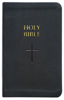 Holy Bible: New Revised Standard Version Updated Edition with Apocrypha, Personal Edition 164065965X Book Cover