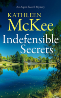 Indefensible Secrets 1036707245 Book Cover