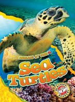 Sea Turtles 1644875918 Book Cover