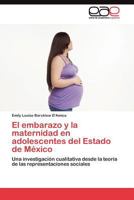 El Embarazo y La Maternidad En Adolescentes del Estado de Mexico 384548442X Book Cover