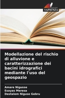 Modellazione del rischio di alluvione e caratterizzazione dei bacini idrografici mediante l'uso del geospazio 6205726920 Book Cover