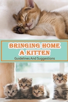 Bringing Home A Kitten: Guidelines And Suggestions: Are Kittens Easy To Train? B09B2J9JHL Book Cover