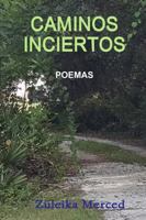 CAMINOS INCIERTOS 1365945251 Book Cover