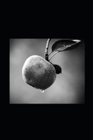 La Parole sans Héritiers: Jésus, le Royaume et la rupture avec le christianisme ontologique B0GMFVQVGV Book Cover