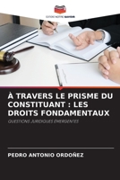 � Travers Le Prisme Du Constituant: Les Droits Fondamentaux 6204114026 Book Cover