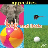 Opposites: Big and Little 1604728132 Book Cover