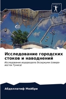 Исследование городских стоков и наводнений 6203252034 Book Cover