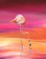 Notebook with Flamingo Cover: Vivid Colors 173092574X Book Cover