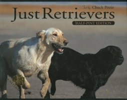 Retriever Training: A Back to Basics Approach 1572233915 Book Cover