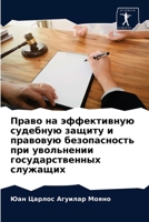 Право на эффективную судебную защиту и правовую безопасность при увольнении государственных служащих 6204075551 Book Cover