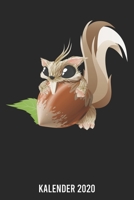 Kalender 2020: Eichhörnchen A5 Kalender Planer für ein erfolgreiches Jahr - 110 Seiten (German Edition) 1672024986 Book Cover