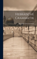 Hebräische Grammatik 1020649321 Book Cover