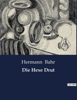 Die Hexe Drut: Osterreichischer Roman 8026855175 Book Cover