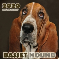 Basset Hound 2020 Mini Wall Calendar 164252588X Book Cover