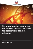 Schéma spatial des sites de liaison des facteurs de transcription dans le génome 6207632206 Book Cover