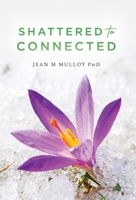 Shattered to Connected B0DV85CYFF Book Cover