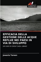 Efficacia Della Gestione Delle Acque Reflue Nei Paesi in Via Di Sviluppo 6203134880 Book Cover