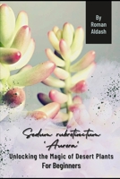 Sedum rubrotinctum 'Aurora': Unlocking the Magic of Desert Plants, For Beginners B0CQTV3285 Book Cover