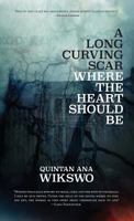 A Long Curving Scar Where the Heart Should Be 0998433985 Book Cover