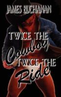 Twice the Cowboy / Twice the Ride 1594267413 Book Cover