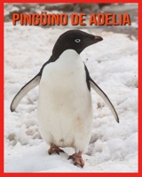 Pingüino de Adelia: Libro para niños con imágenes hermosas y datos interesantes sobre los Pingüino de Adelia B08RH7JVD6 Book Cover
