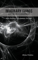 Imaginary Things: (Inside the Mind of a Schizophrenic) From Darkness...To Lunacy...To Light 1478776153 Book Cover