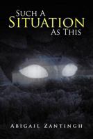 Such a Situation as This 1468529633 Book Cover
