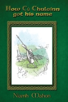 How Cú Chulainn got his name. 1919550178 Book Cover