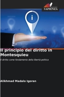 Il principio del diritto in Montesquieu 6205279215 Book Cover