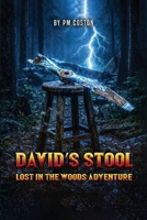 David's Stool B0H6NQPDJN Book Cover