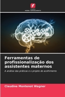 Ferramentas de profissionalização dos assistentes maternos (Portuguese Edition) 6209841880 Book Cover