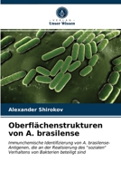 Oberflächenstrukturen von A. brasilense 6203528544 Book Cover