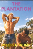 The Plantation: Slavery historical fiction - gay romance (The Age of Slaves - Historical Erotica Fiction) B0FH72168H Book Cover