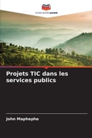 Projets TIC dans les services publics (French Edition) 6208395135 Book Cover