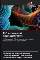 TIC e processi amministrativi (Italian Edition) 6207115864 Book Cover