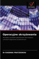 Operacyjne skrzyżowania: Pomiędzy rysunkiem specyficznym dla miejsca a cyfrowym diagramem przestrzennym 6203474975 Book Cover