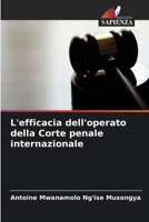 L'efficacia dell'operato della Corte penale internazionale (Italian Edition) 6630305426 Book Cover