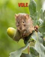 Vole: Beautiful Pictures & Interesting Facts Children Book About Vole B08M83XFC6 Book Cover