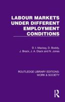 Labour Markets Under Different Employment Conditions 1032825537 Book Cover